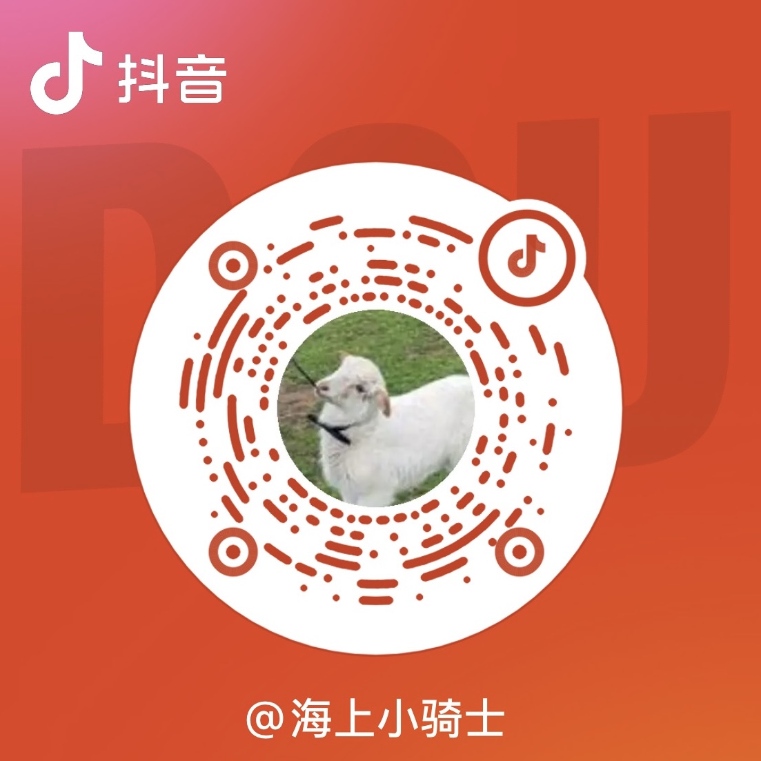 抖音二维码